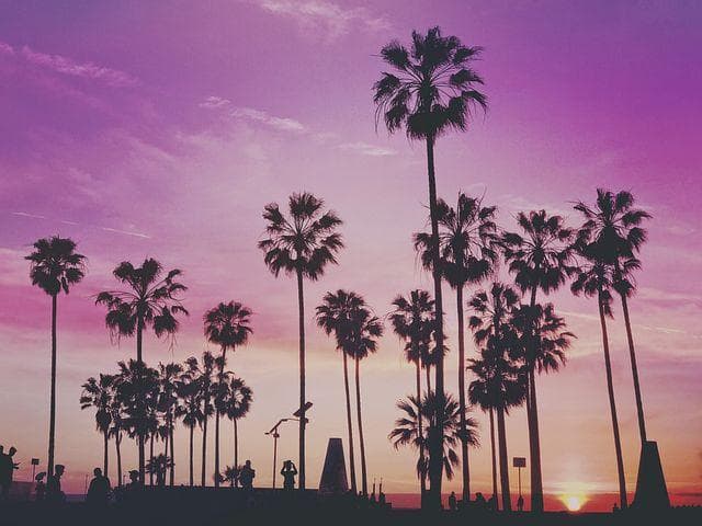 Aesthetic Chills