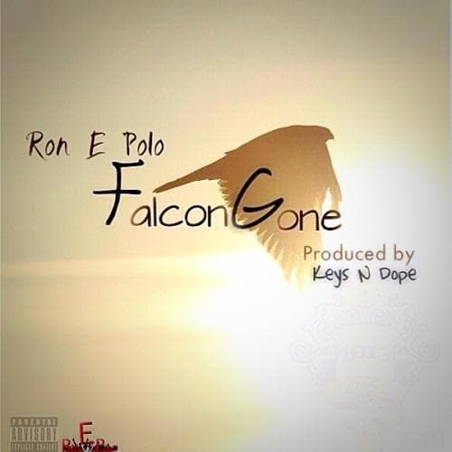 Falcon Gone