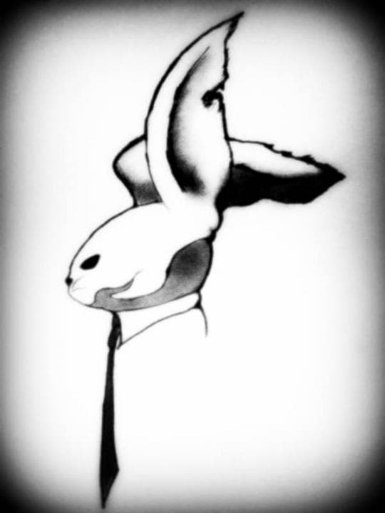 The Rabbit