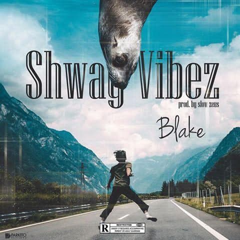 shway vibez
