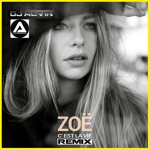 C'est La Vie (DJ Alvin Remix)