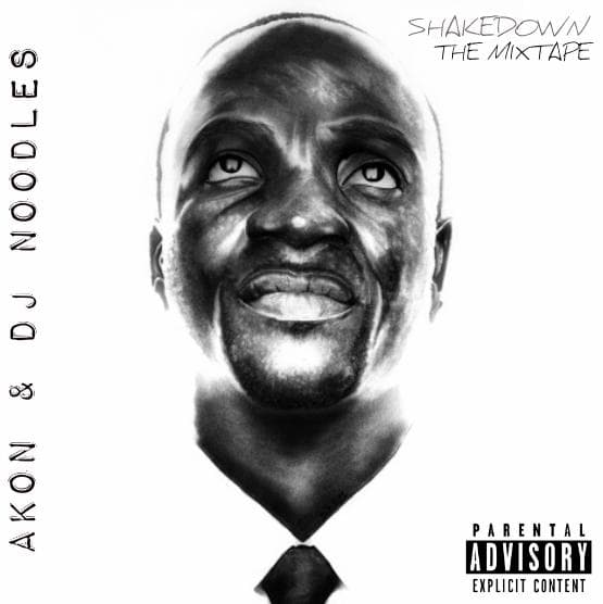 Akon ft. The French General (DJ Noodles)