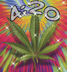 4:20 BITCH (Rack City Remix)