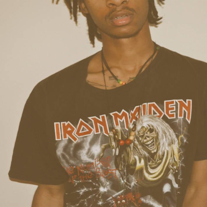 Tryna  download wok - carti