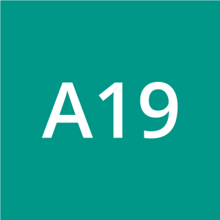 A19797