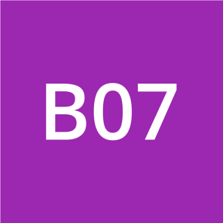 B07103